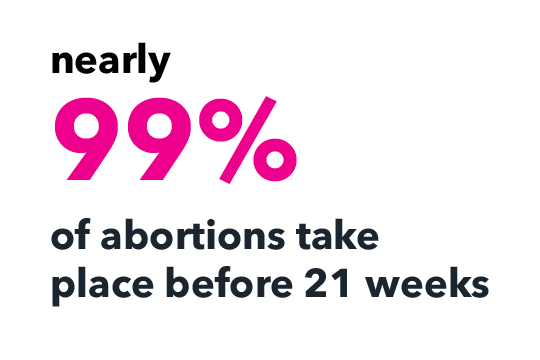20 Week Abortion