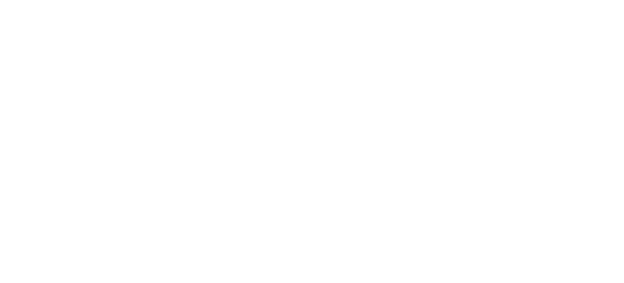 Planned Parenthood Action Fund, Inc.