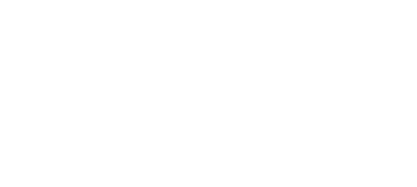 Planned Parenthood Action Fund, Inc.